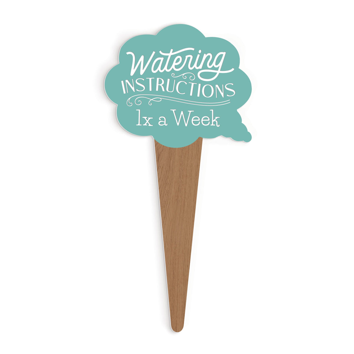 Personalized Word Bubble Plant Pal